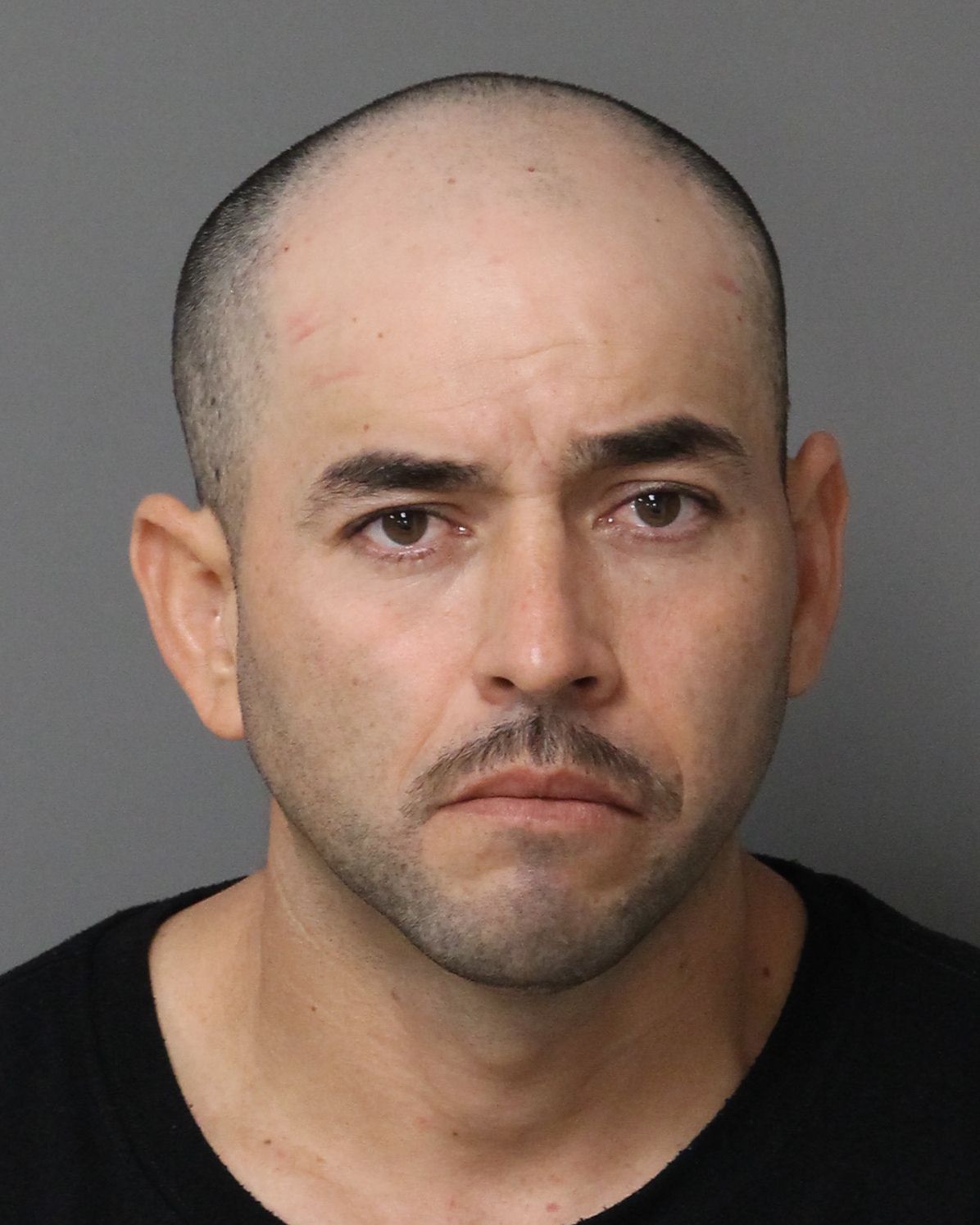 MIGUEL CURIEL-ACUNA LUIS Info, Photos, Data, and More / Wake County Public Records