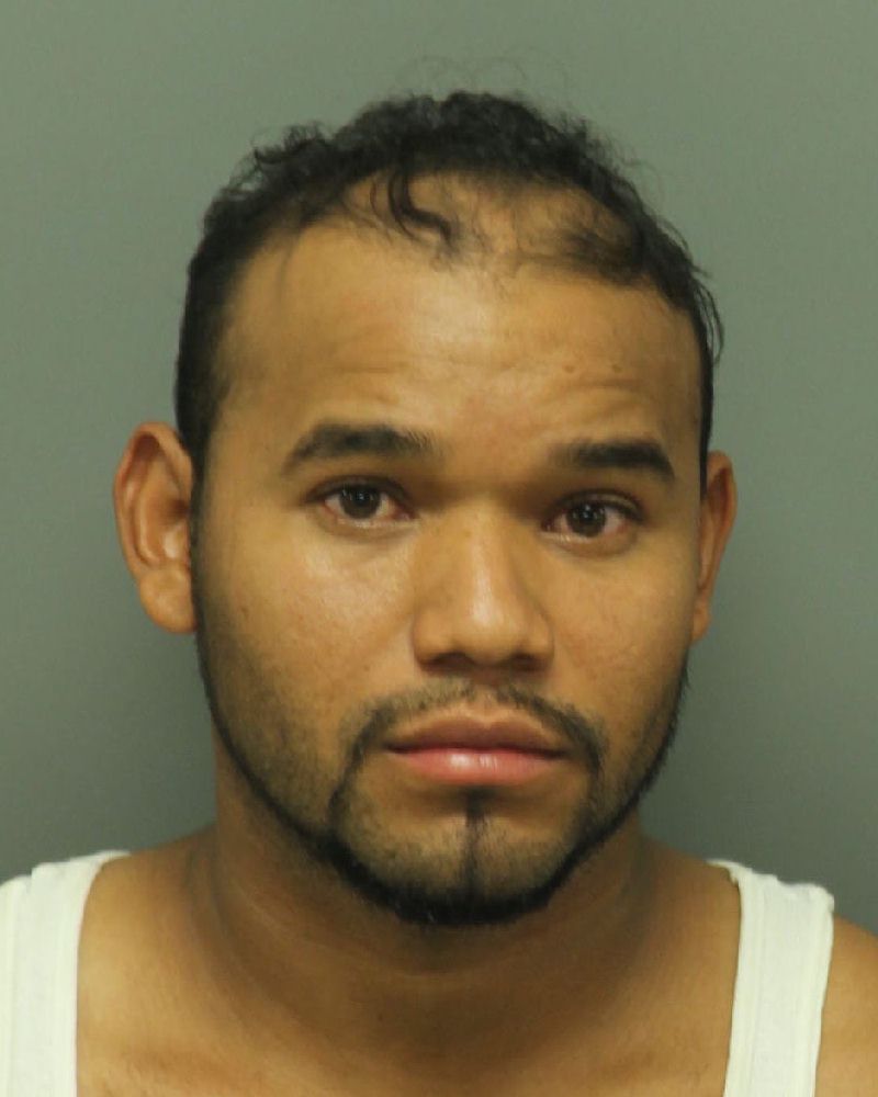 LUIS  REYES-BUSTO Info, Photos, Data, and More / Wake County Public Records