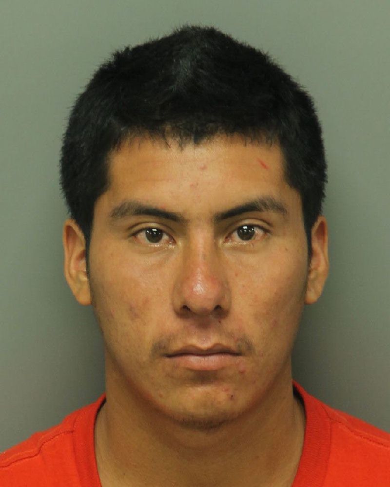 MELVIN  MORALES-HERNANDE Info, Photos, Data, and More / Wake County Public Records