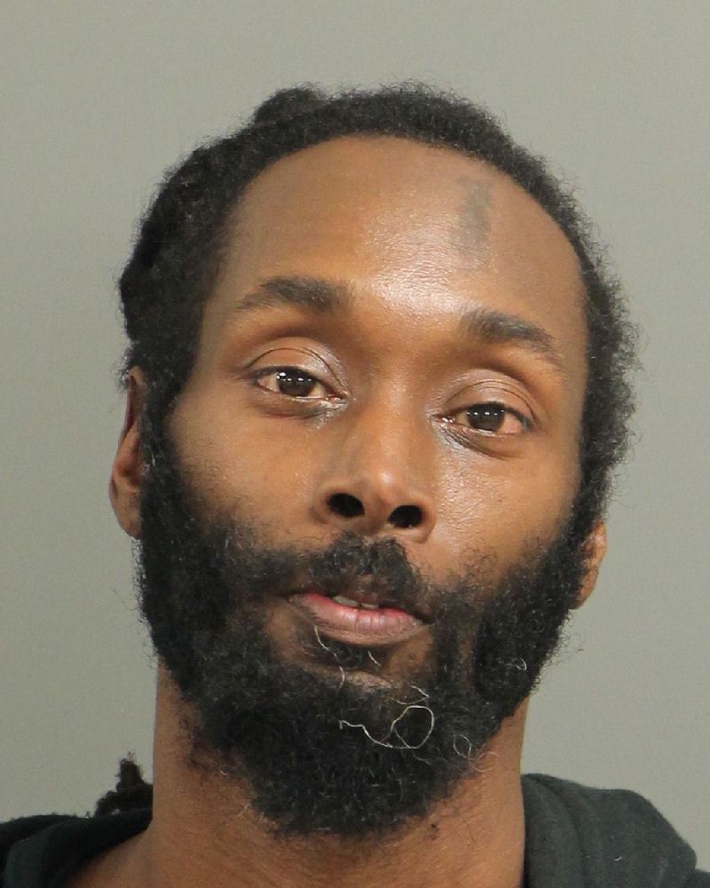 JERMAINE GOODMAN MICHAEL Info, Photos, Data, and More / Wake County Public Records