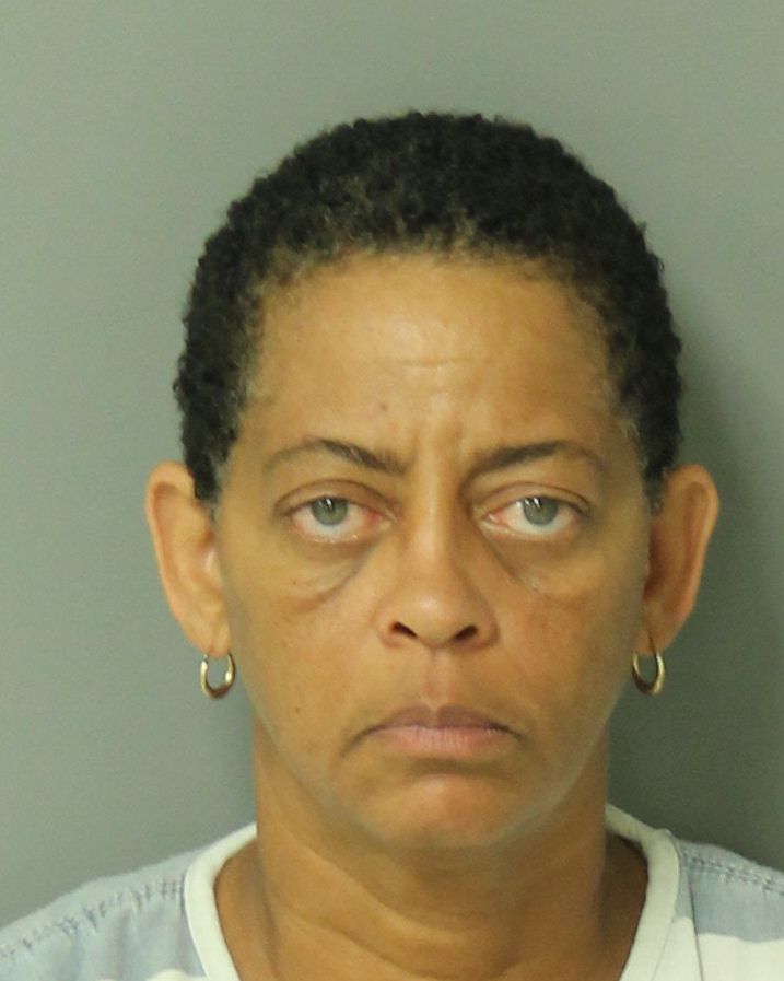 MICHELLE MCNAIR GREENE Info, Photos, Data, and More / Wake County Public Records