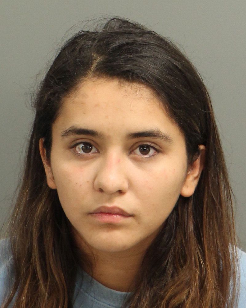 VICTORIA BRAVO MICHELLE Info, Photos, Data, and More / Wake County Public Records