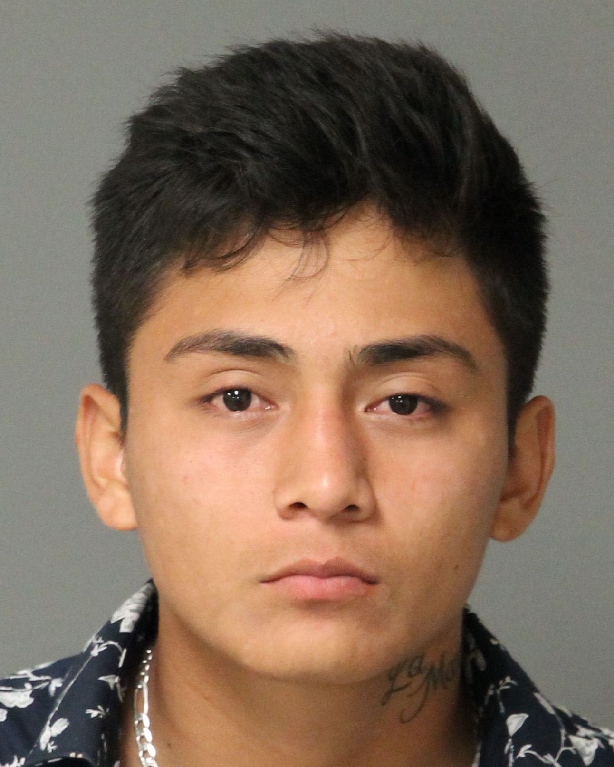 ANGEL CASTILLO-EUFRACI MIGUEL Info, Photos, Data, and More / Wake County Public Records