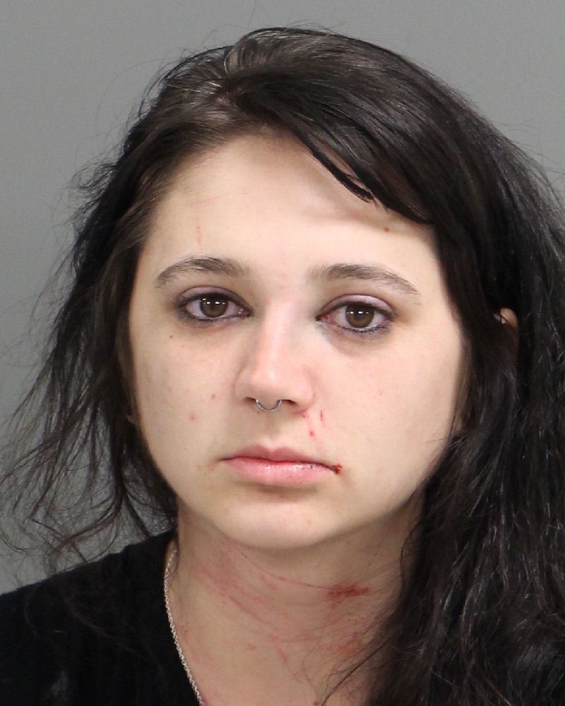 ASHLEE ISELY MORGAN Info, Photos, Data, and More / Wake County Public Records