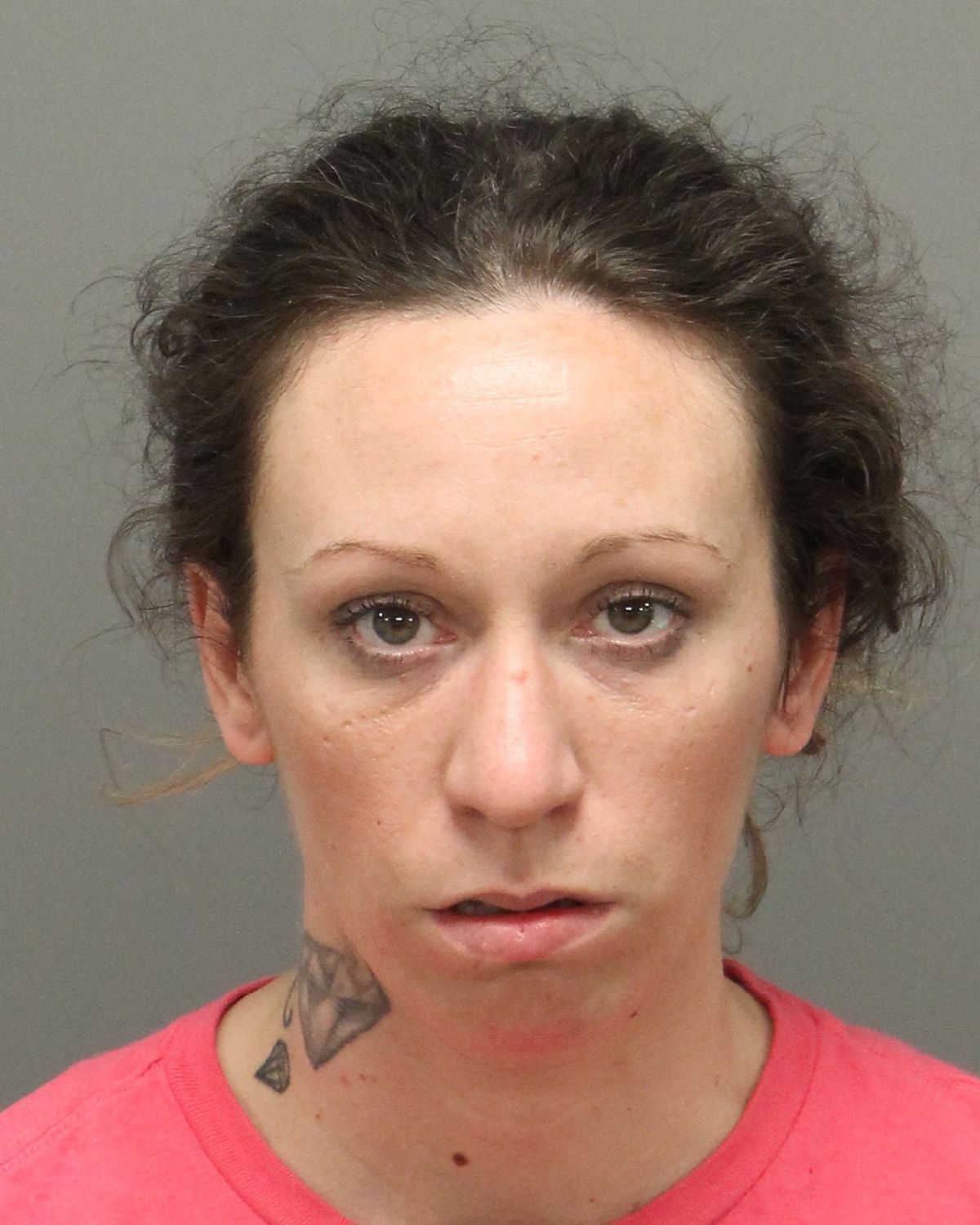 Wake Countys Mugshot Mystery Whats The Story Behind These Arrests - ixvaef1