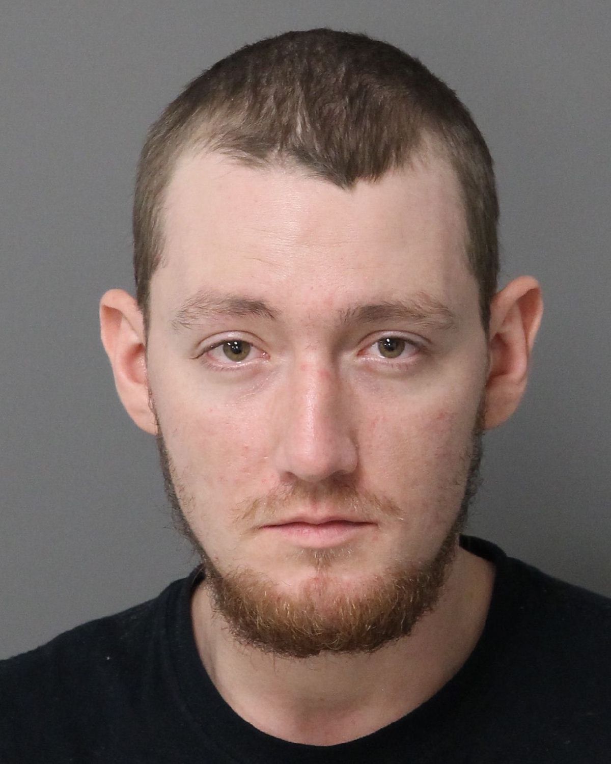 AARON PASCHALL NICHOLAS Info, Photos, Data, and More / Wake County Public Records