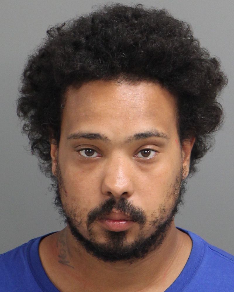 D'ANGELO BOWERS NICO Info, Photos, Data, and More / Wake County Public Records
