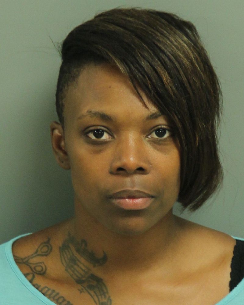 NIKKI LYNN ONEAL Info, Photos, Data, and More / Wake County Public Records