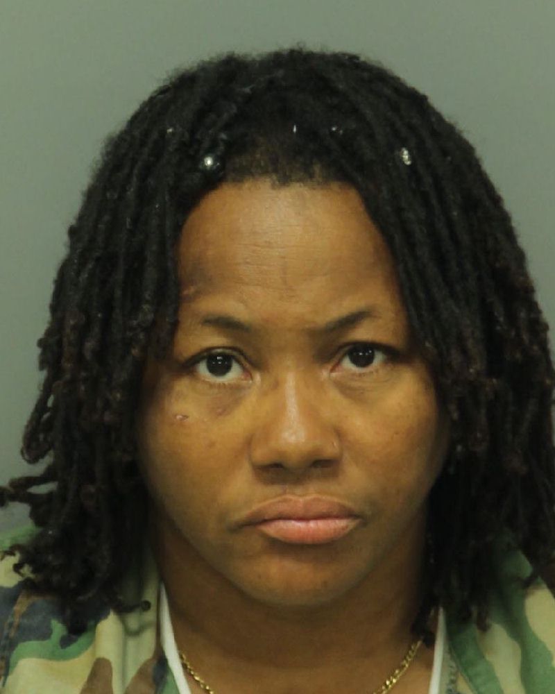 SANDRA DENISE GIBSON Info, Photos, Data, and More / Wake County Public Records