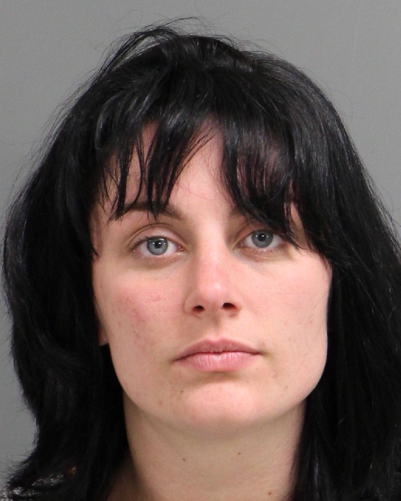 SARA MICHELLE SYLVESTER Info, Photos, Data, and More / Wake County Public Records