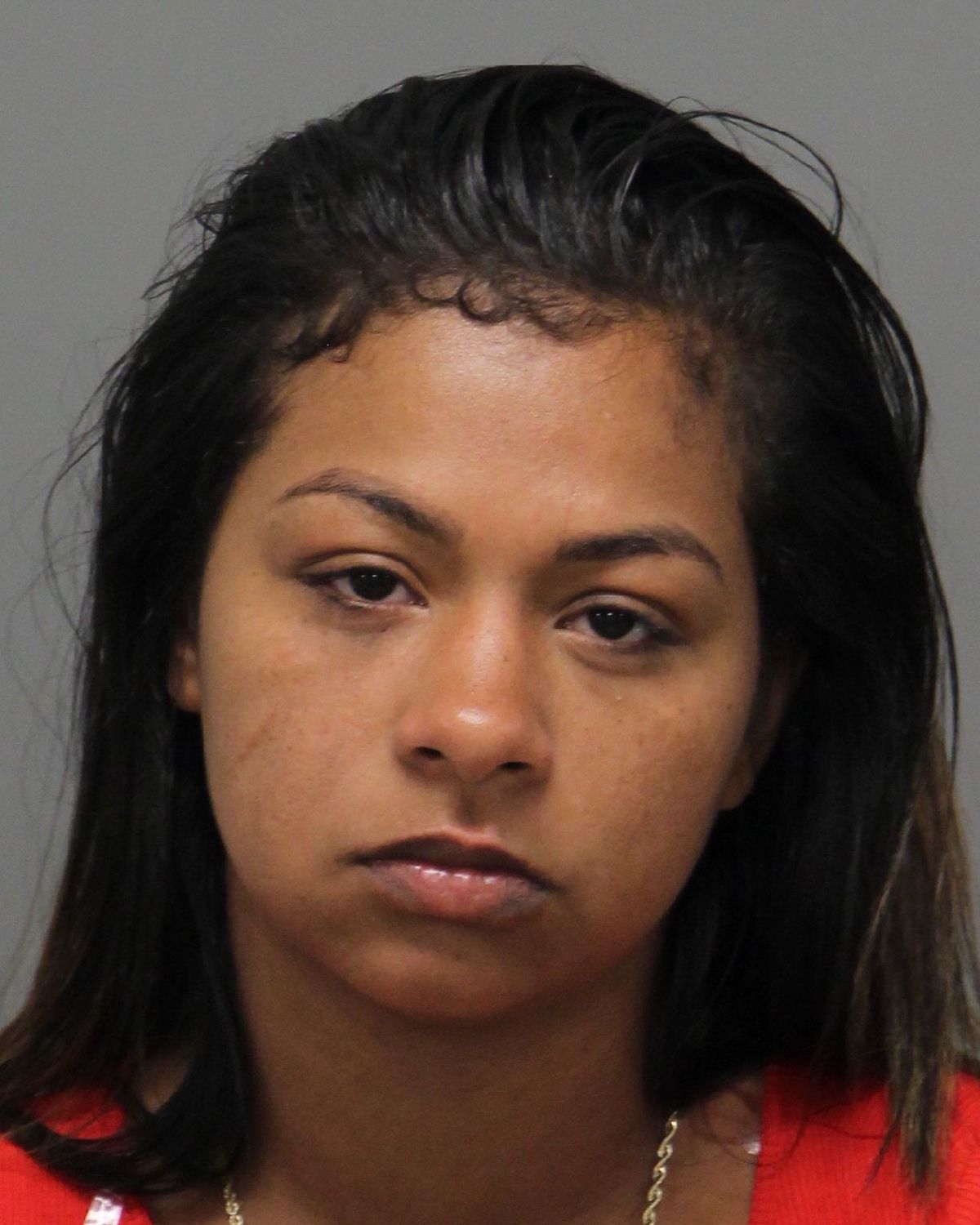 Wake County Mugshots A Sobering Look At The Consequences Of Crime - k7zmq90