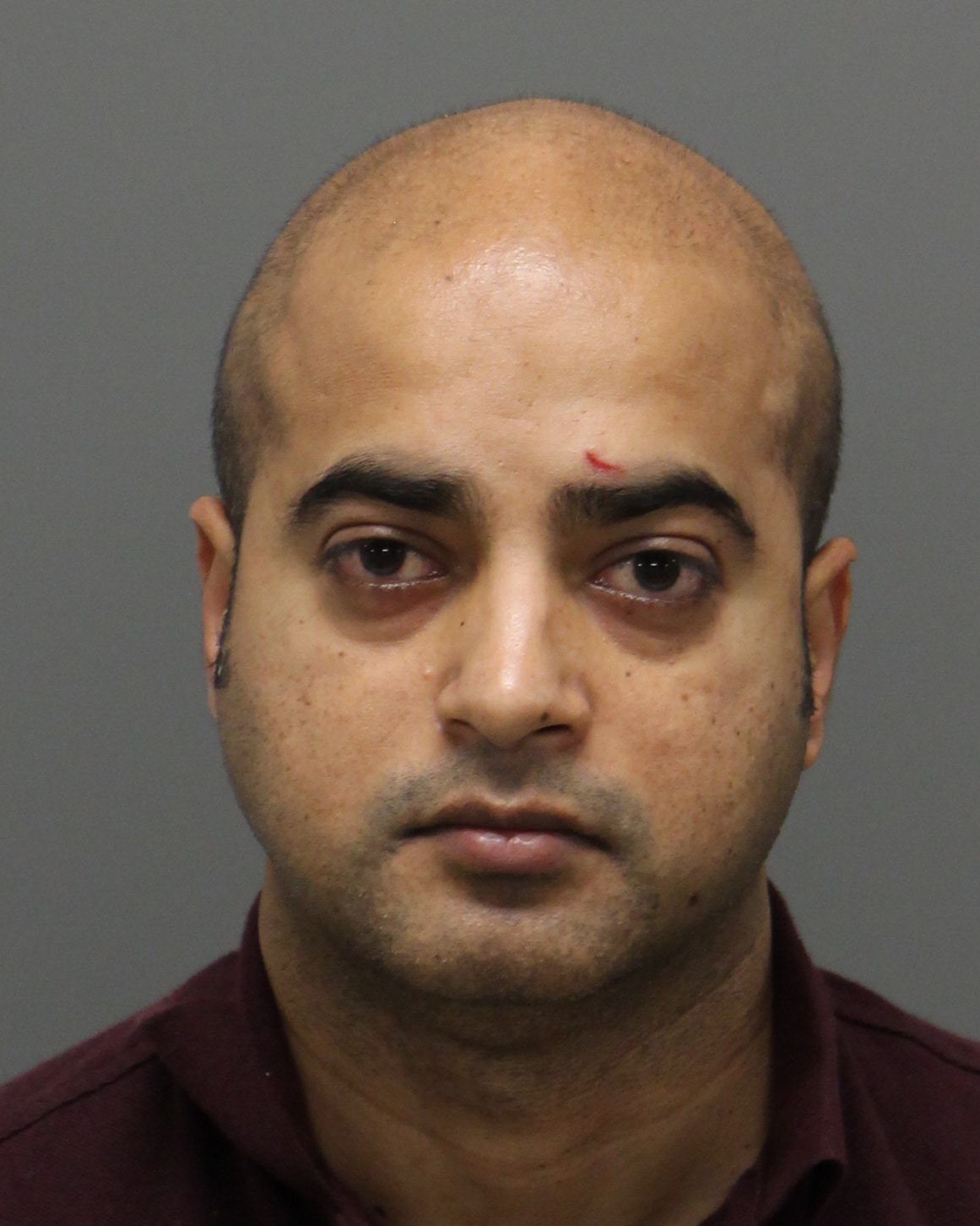 KRISHINA PINNAMAENI SUNIL Info, Photos, Data, and More / Wake County Public Records