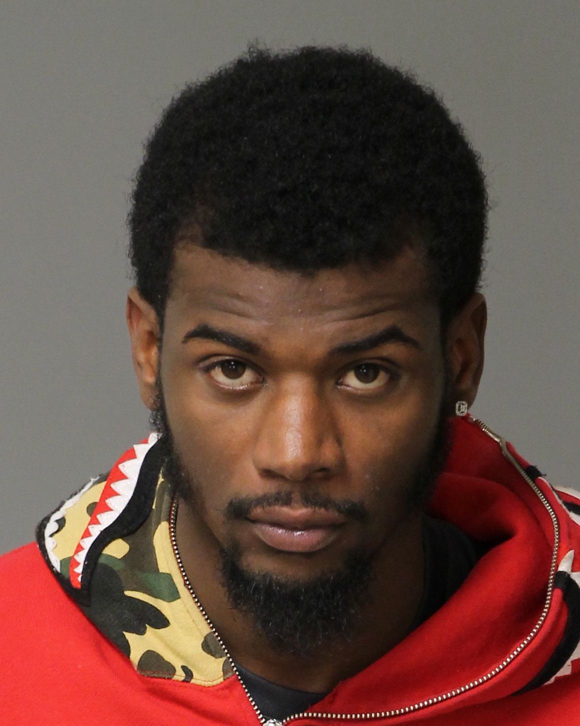 TEVIN MAURICE HESTER Info, Photos, Data, and More / Wake County Public Records