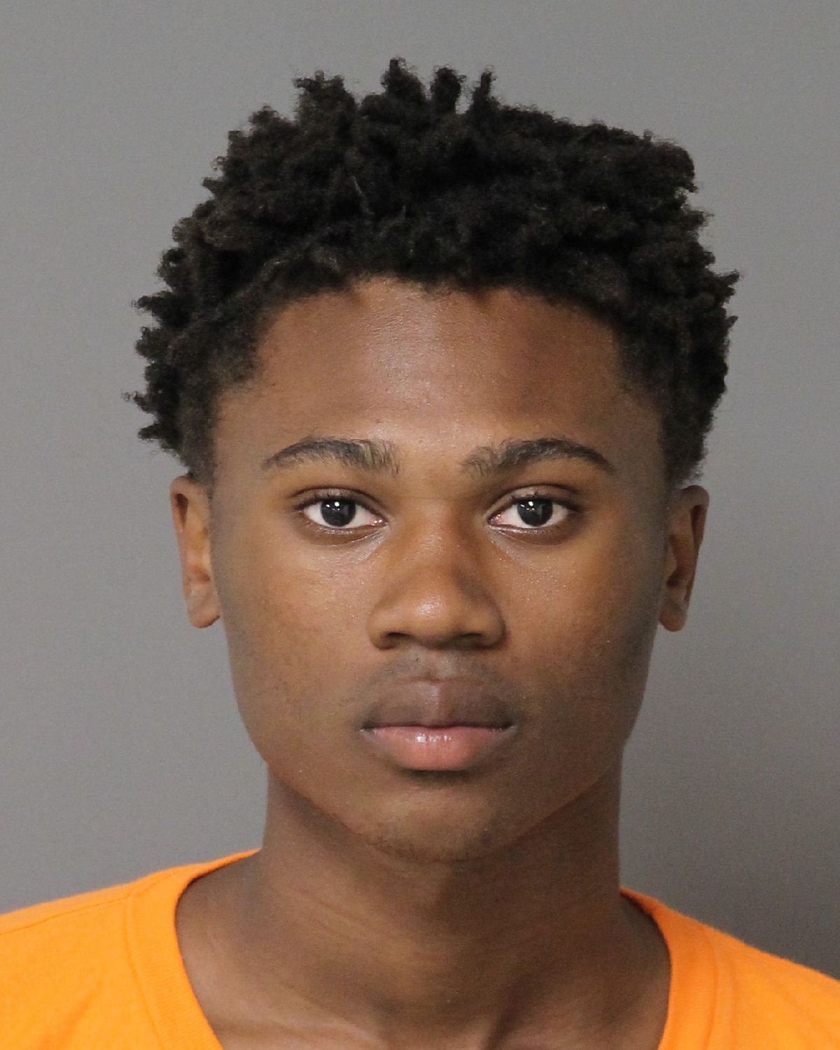 JAVEION VERNON-WILLIAMS TYREE Info, Photos, Data, and More / Wake County Public Records