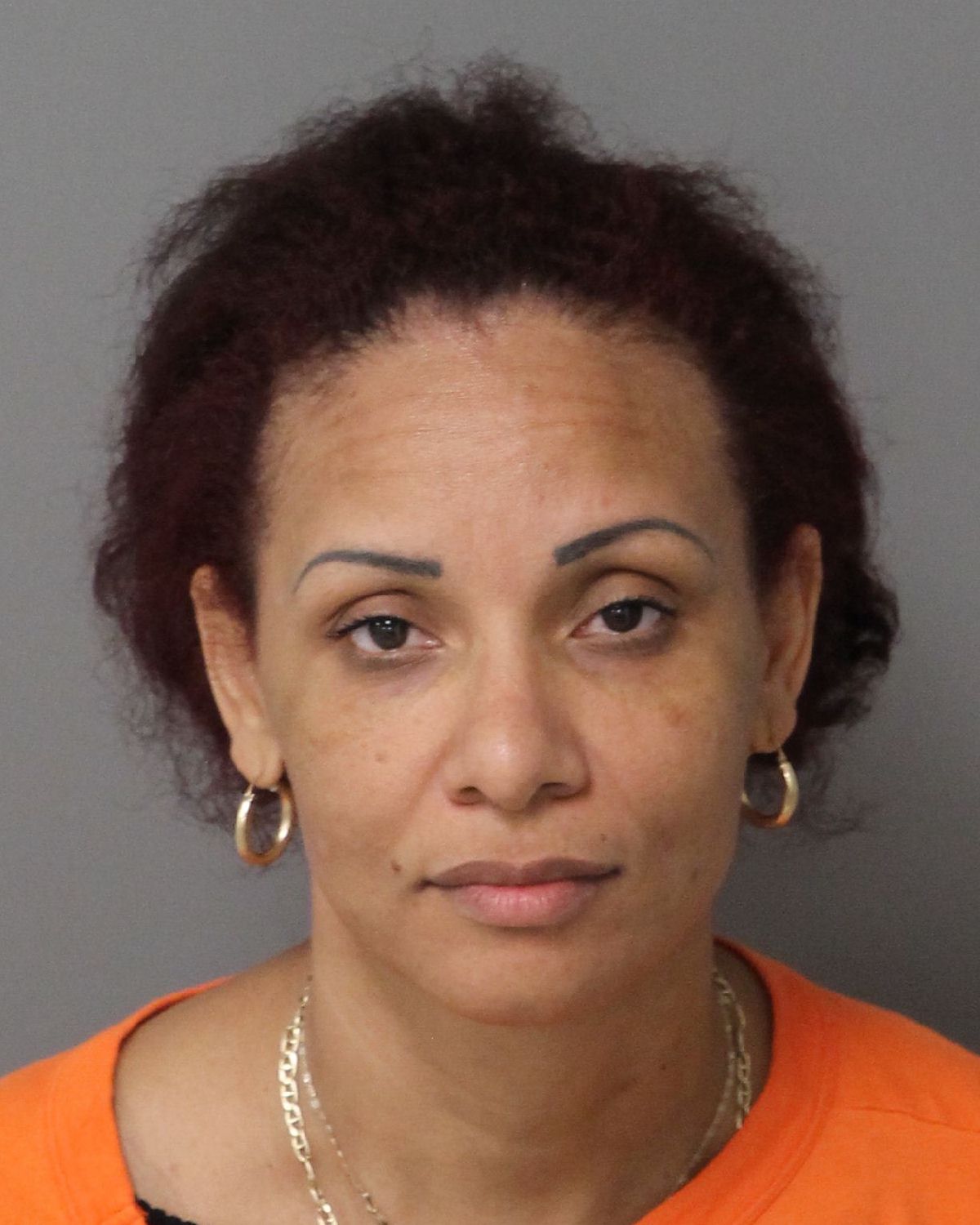 HENRIQUEZ-DELROS YOELYN Info, Photos, Data, and More / Wake County Public Records