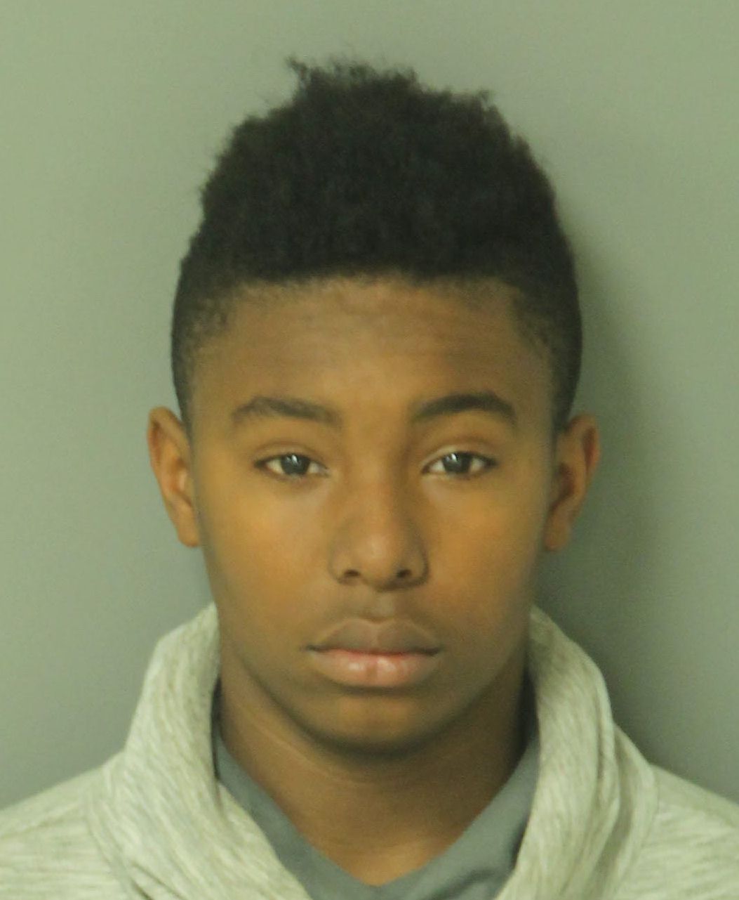 ZAVION KASEIS EVANS Info, Photos, Data, and More / Wake County Public Records